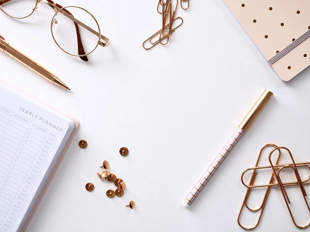 How to Keep a Birdwatching Notebook That Actually Improves Your ID Skills
